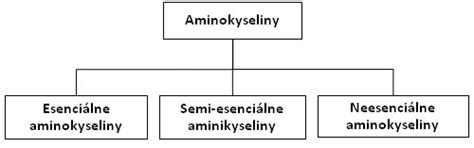 Rozdelenie aminokyselín na esenciálne a neesenciálne