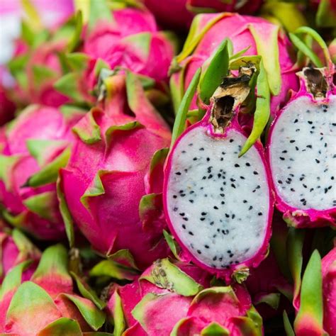 Dračie ovocie a guava
