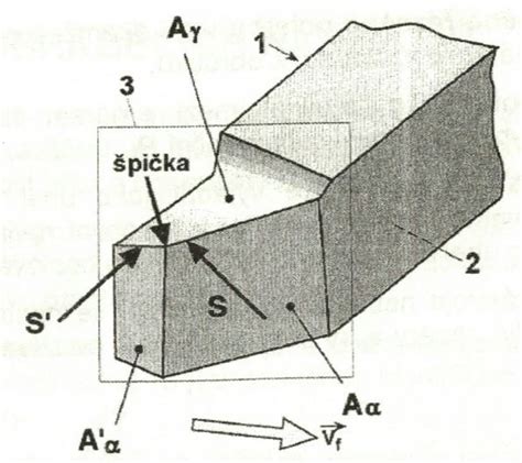 Schéma rastliny baklažánu s označenými časťami