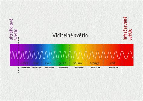 Farebné spektrum tekvicových olejov: od tmavozelenej po žltkavo-hnedú