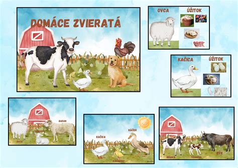 Domáce zvieratá jedia ryby