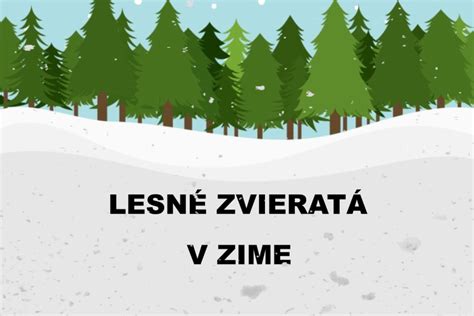Lesné zvieratá v zime