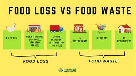 Rozdiel medzi food loss a food waste