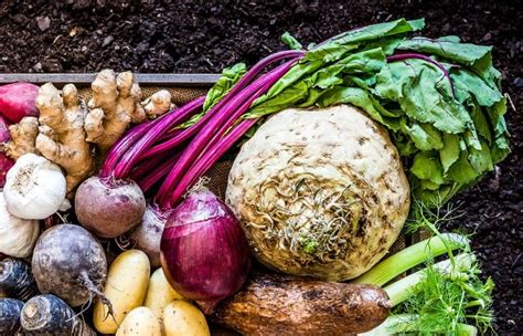 Koreňová zelenina pripravená na varenie