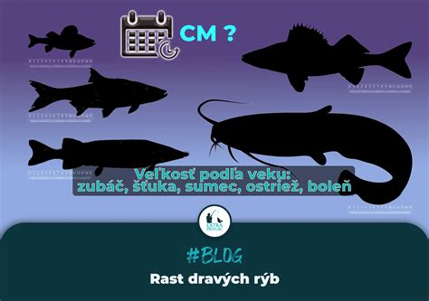 Tabuľka časov pečenia rýb podľa druhu a veľkosti