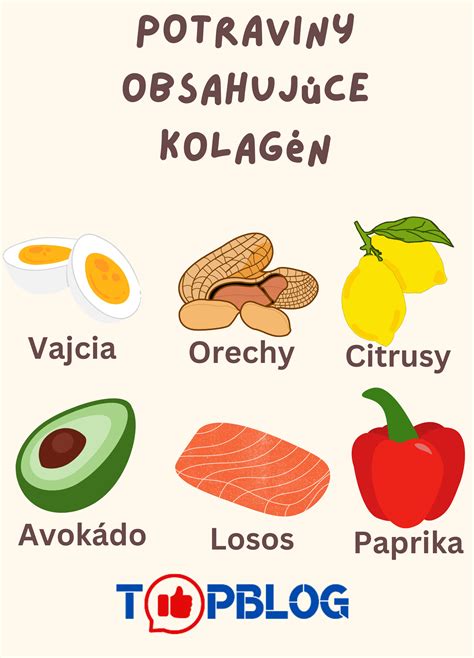 Potraviny bohaté na kolagén