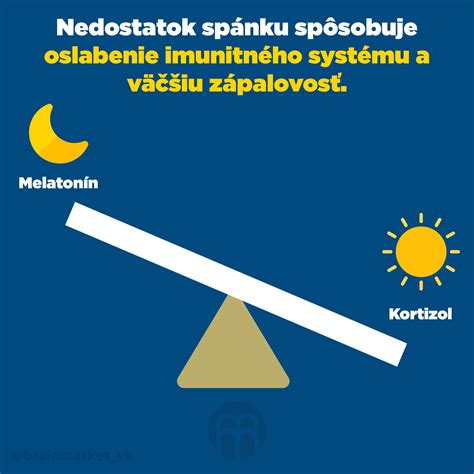 Infografika: Vetrolamy a ich funkcia v poľnohospodárstve