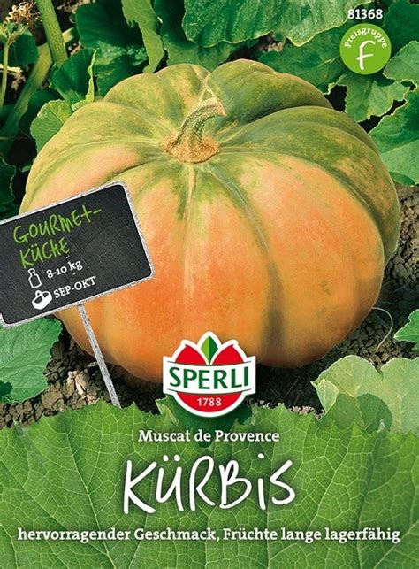 Tekvica Muscat de Provence