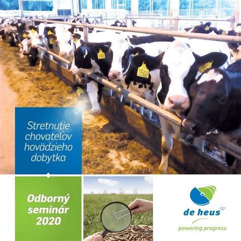 Ilustrácia farmárskeho chovu dobytka na Slovensku