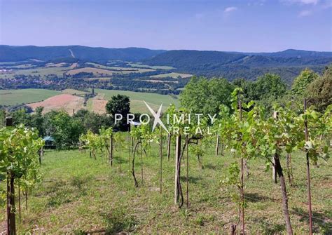 vinica s hroznom