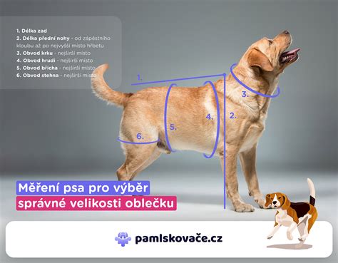 Ako správne zmerať gril pre kryt