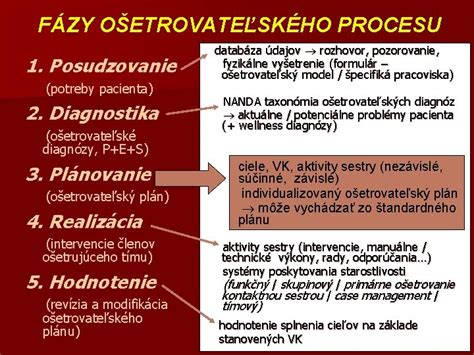 Fázy stavebného procesu a úloha priečnych rezov