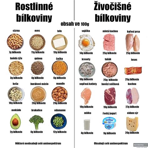 schéma potravín s termogénnym účinkom
