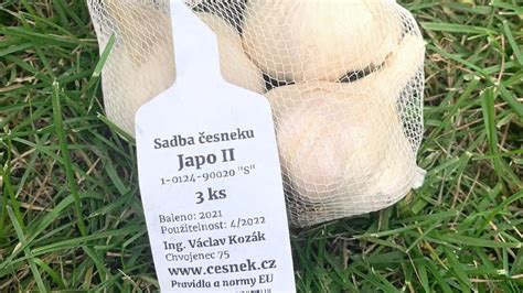 certifikovaná sadba zemiakov v prepravkách
