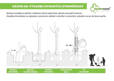 Schéma prípravy pôdy a výsadby ovocných stromov