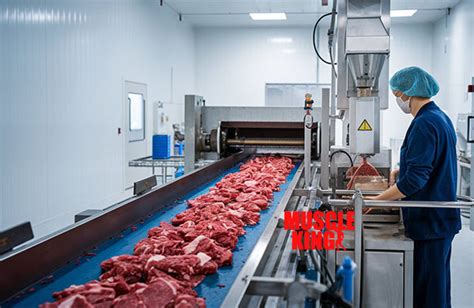 Schéma procesu hydrolýzy hovädzieho proteínu na peptidy