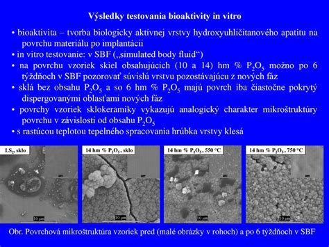 Laboratórne testovanie vzoriek mäsa