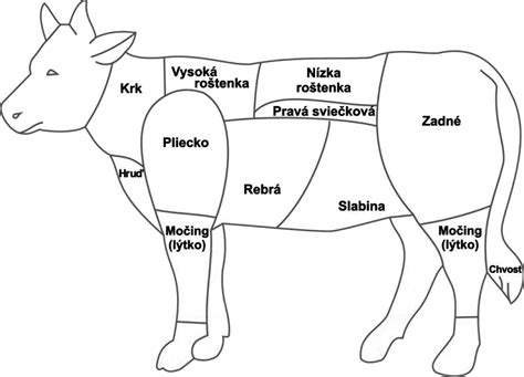 Obrázok rôznych častí teľacieho mäsa