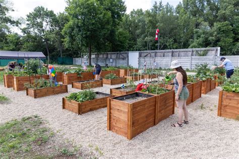 Komunitné záhrady a farmárske trhy v Michigane