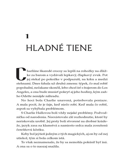 Ukážka zápisu v pokladničnej knihe