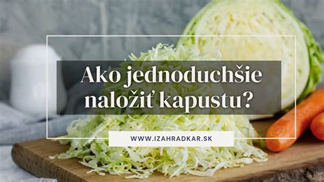 Zber kapusty na prípravu kyslej kapusty