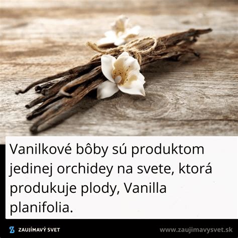 pestovanie vanilkových luskov na plantáži
