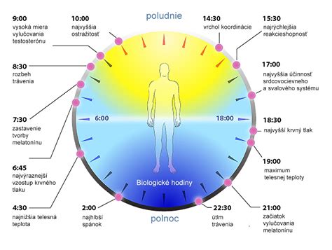 Infografika porovnávajúca rôzne teploty chromatickosti svetla a ich vplyv na človeka