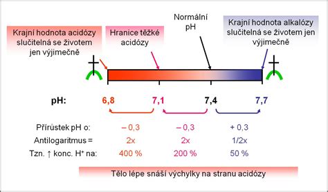 schéma acidobázickej rovnováhy v tele