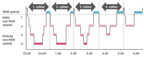 Graf cyklov spánku (REM a NREM fázy)