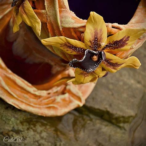 Kvitnúca vanilková orchidea