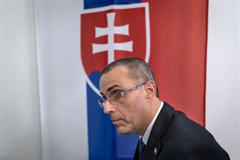 Rozdelenie prípadov medzi plénum a senáty