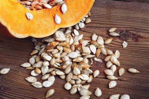 Zber tekvicových semien