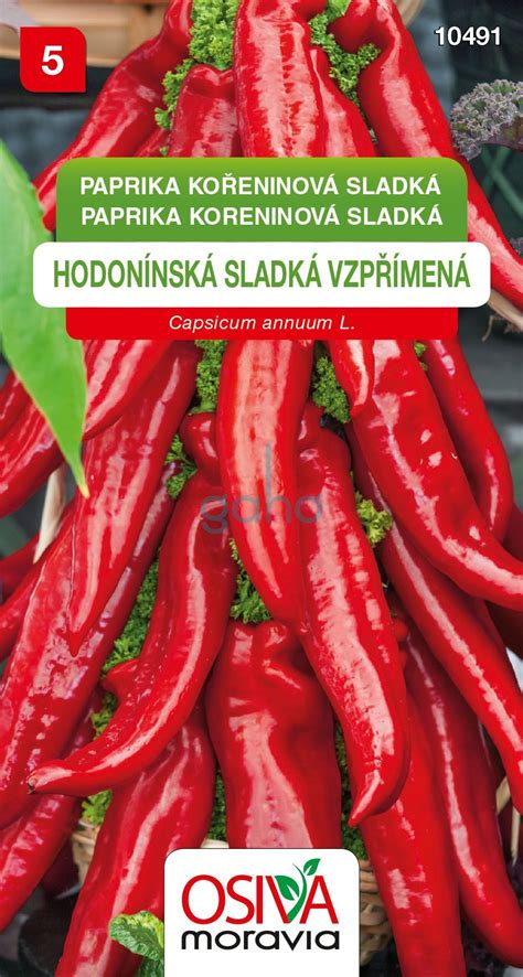 Zber a sušenie koreninovej papriky