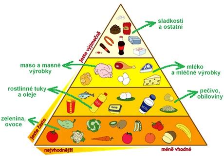 Pyramída vegánskeho stravovania
