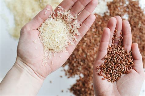 Porovnanie bielej a natural ryže: výživové hodnoty a spracovanie