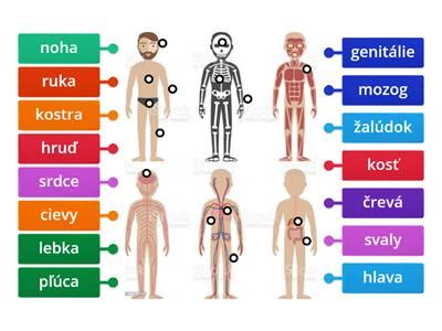 Dôsledky nadmerného príjmu soli na ľudské telo