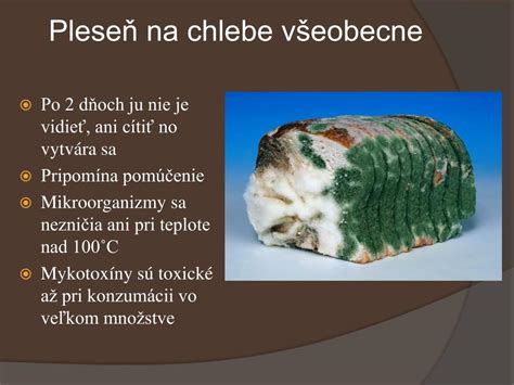 Pleseň na chlebe a mykotoxíny