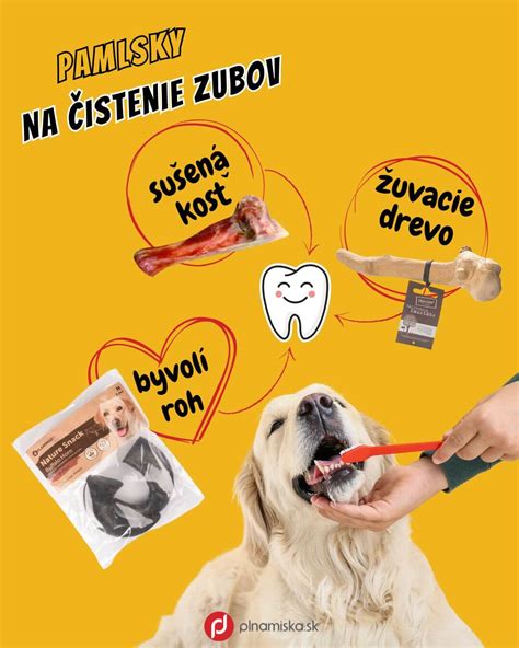 Rôzne druhy psích pamlskov a koláčikov