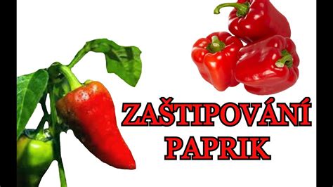 Ukážka letákov s akciami na papriku