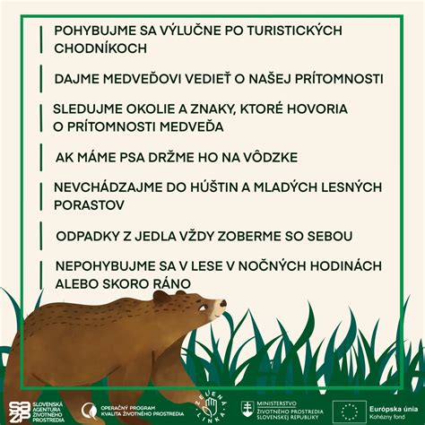Prehľad vhodných krmív pre divú zver