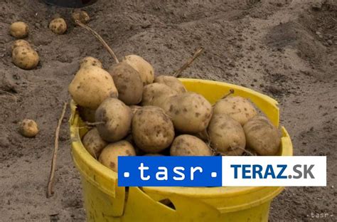 Svetová produkcia zemiakov podľa regiónov