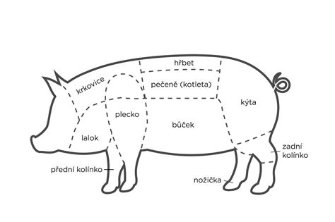 Schéma autolýzy mäsa a jeho fáz