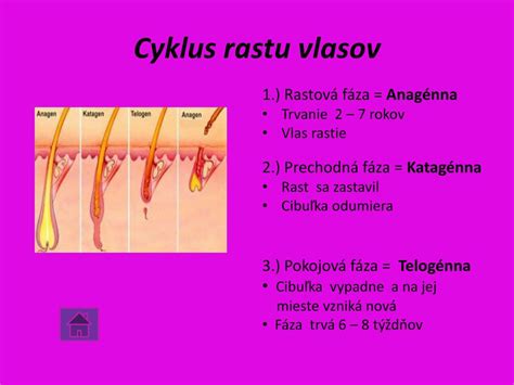 Cyklus rastu a zhadzovania jeleních parohov