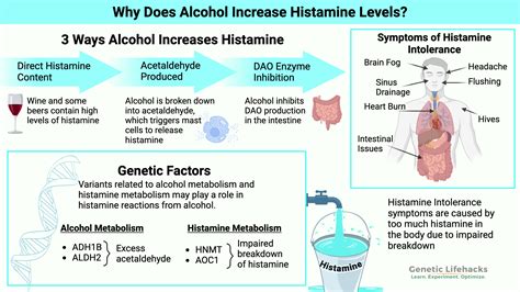 Mechanism of Histamine Intolerance