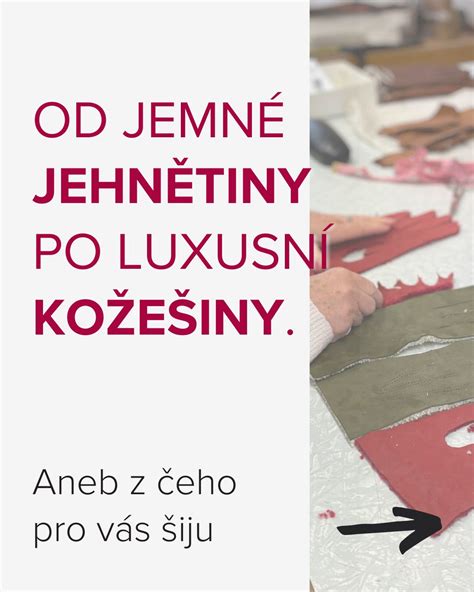 Druhy kožených usní