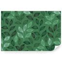 Ilustrácia ľanovej rastliny a semienok