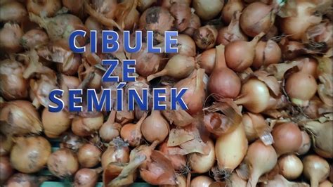 Proces restovania cibule a húb