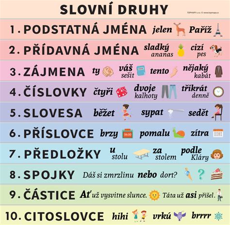 Druhy bravčových rebier