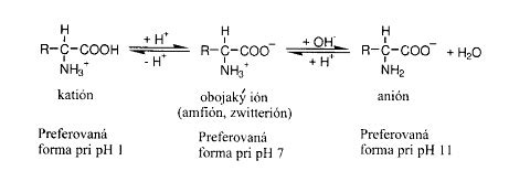 Chemická štruktúra fytosterolov