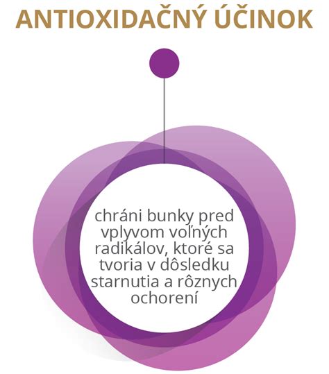Antioxidačný účinok v bunkách